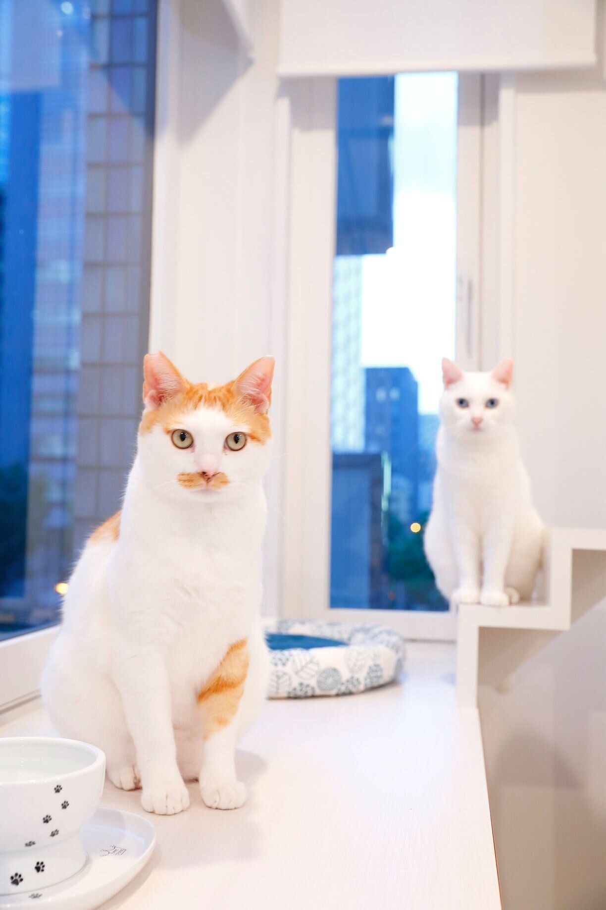 撮影／後藤さくら