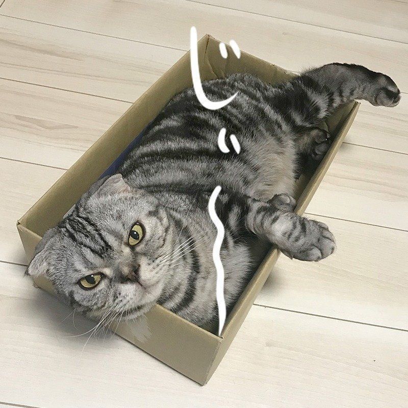 じいーーーーー