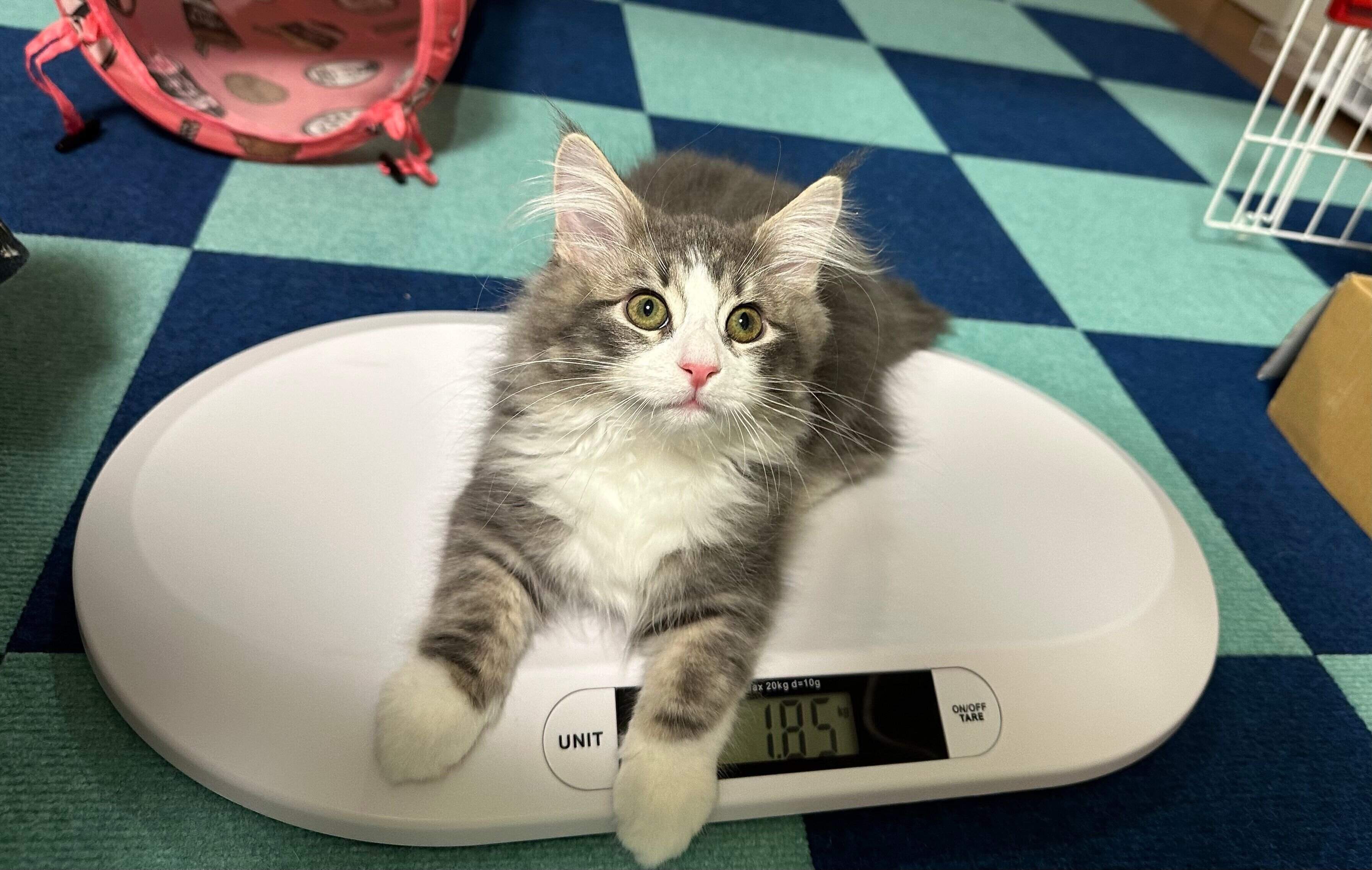 生後3カ月半のクレくん