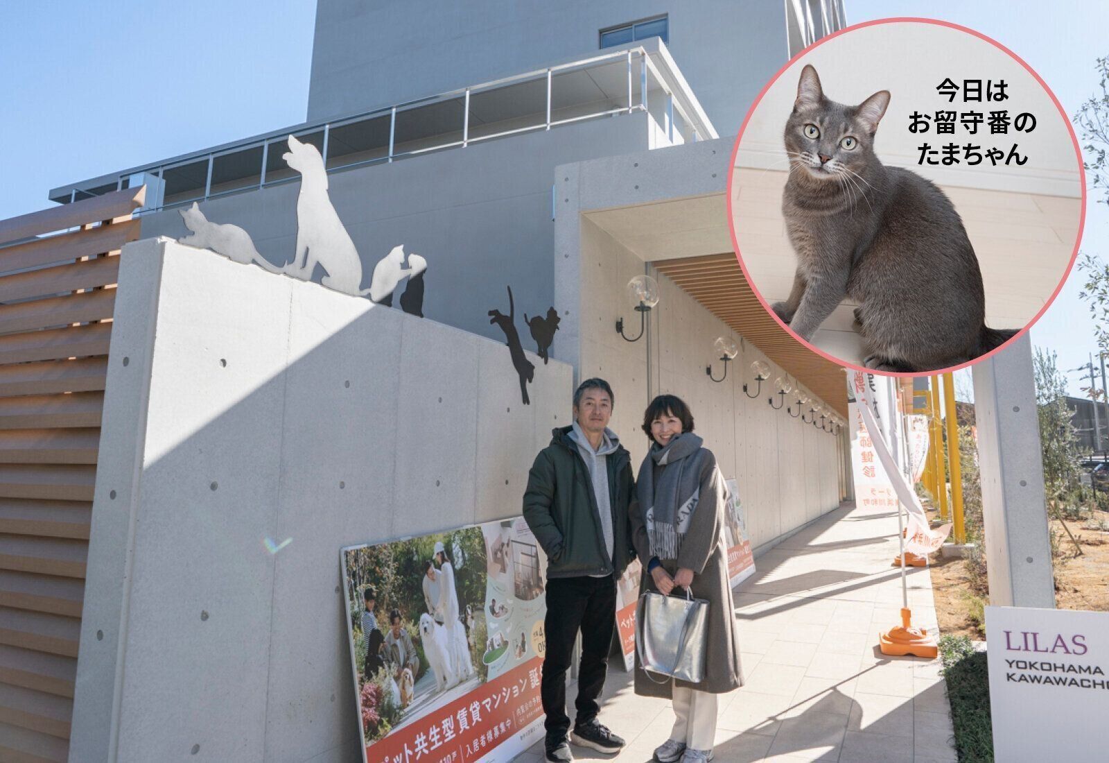 フジタ　大和リビング　リーラ横浜川和町　月次健診　犬猫合わせて4頭　マンション　賃貸マンション　ペット共生型マンション　ねこのきもち　ねこ　
