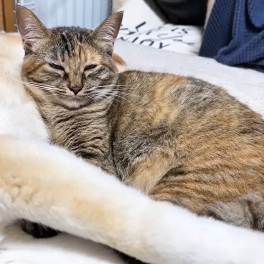 幸せそうなリナちゃん