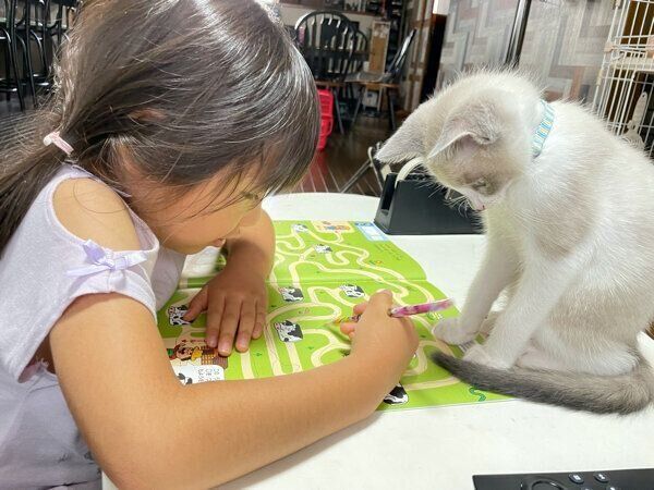 ロコくんと娘さん