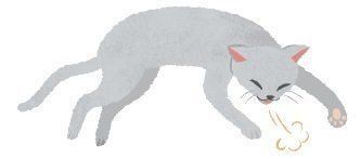 イラスト／片山智恵