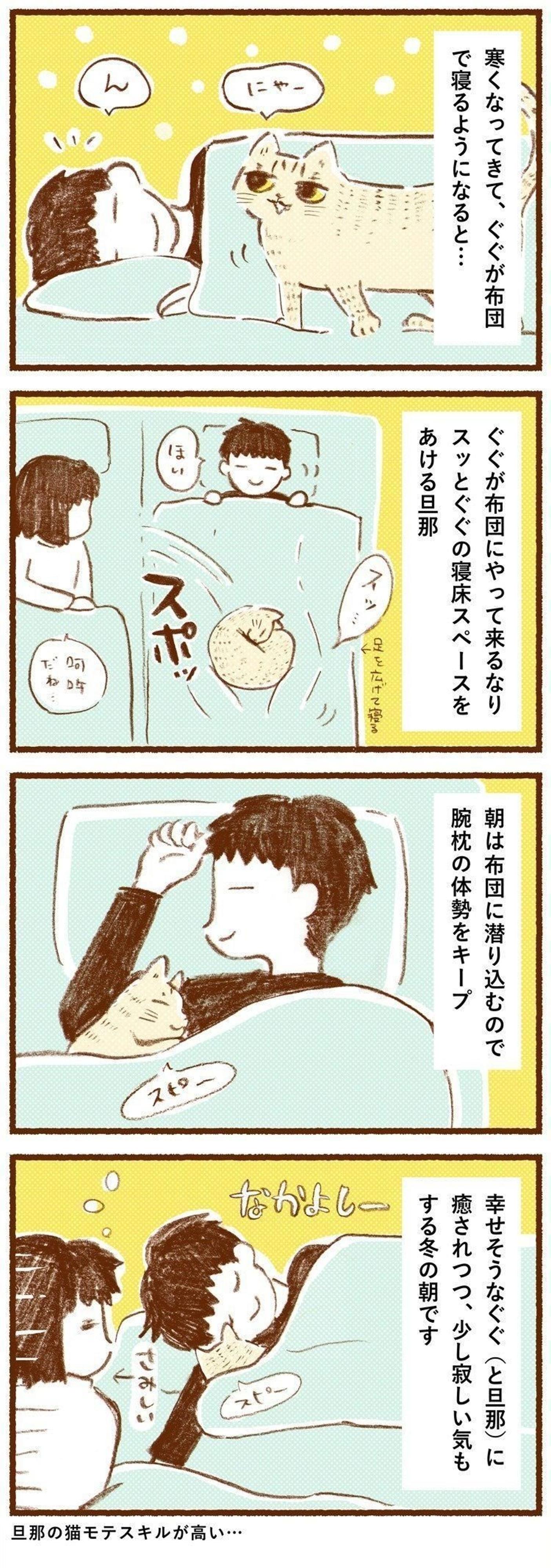 猫が求める寝床をとは 猫が一緒に寝てくれる 猫モテスキル しまねこぐぐ Vol 44 ねこのきもちweb Magazine 猫が求める寝床をとは 猫が一緒に寝てくれる 猫モテスキル しまねこぐぐ Vol 44 ねこのきもちweb Magazine