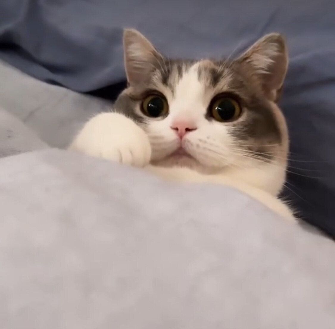 動画の1シーン　カメラ目線がかわいいみおちゃん