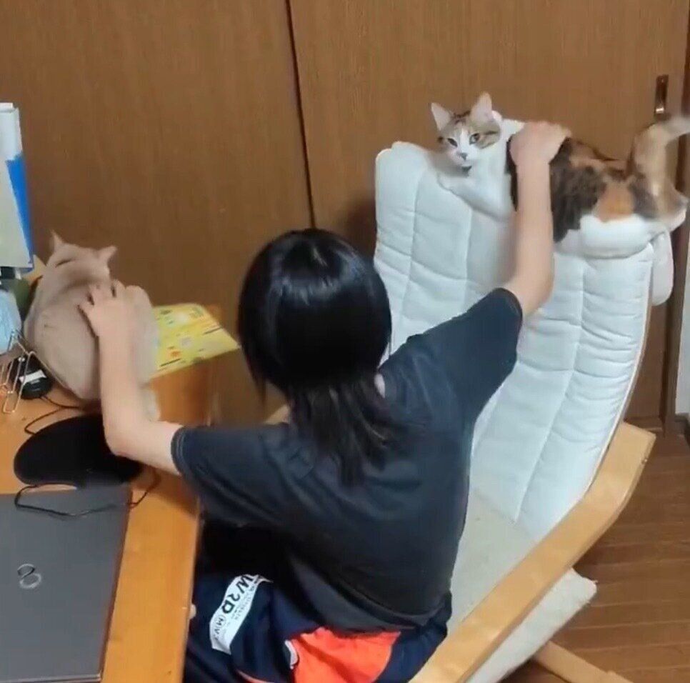 ナナちゃんとテンちゃんをなでる娘さん