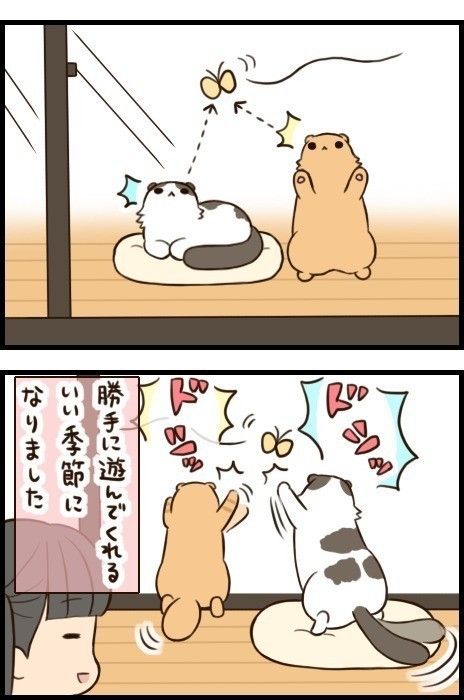 「もふもふスコたん」19話目