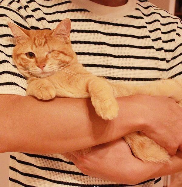 元保護猫・みちるちゃん