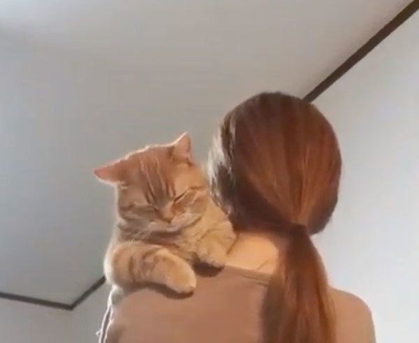 抱っこされるうにちゃん