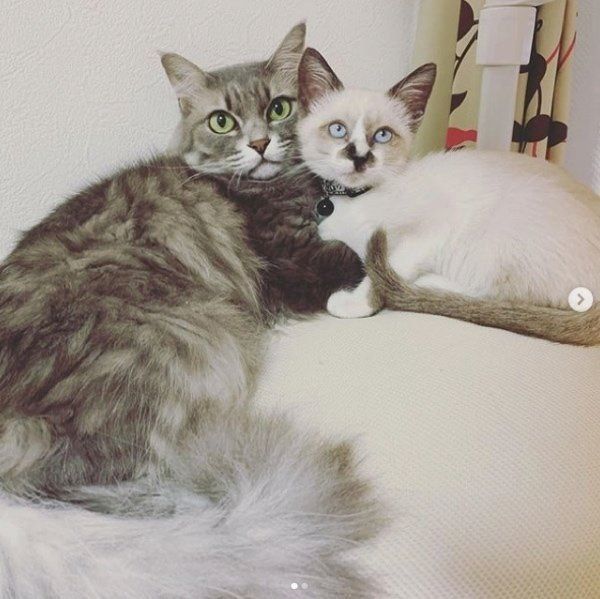 寄り添う凛ちゃんと鈴ちゃん