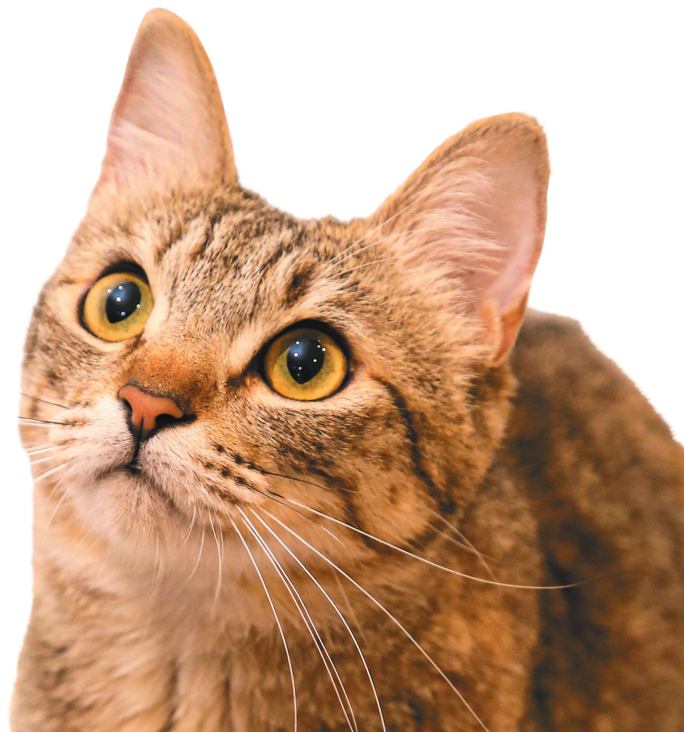 撮影／尾崎たまき