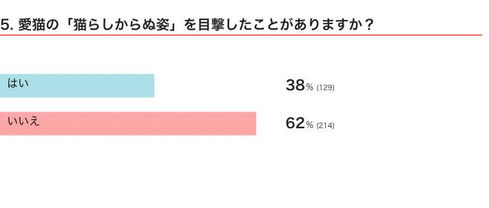 ねこのきもちWEB MAGAZINE　猫の生態・行動に関するアンケートvol.06
