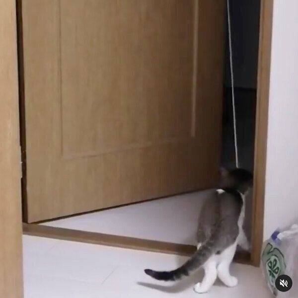 ヒモを引っ張るレイくん