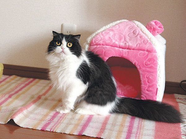 やりすぎると危険なお世話