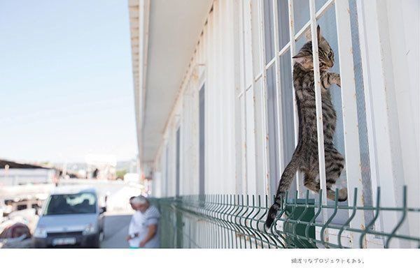 『明日はきっとうまくいく』