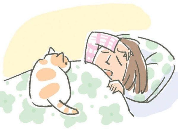 猫から間接的にうつりやすい病気