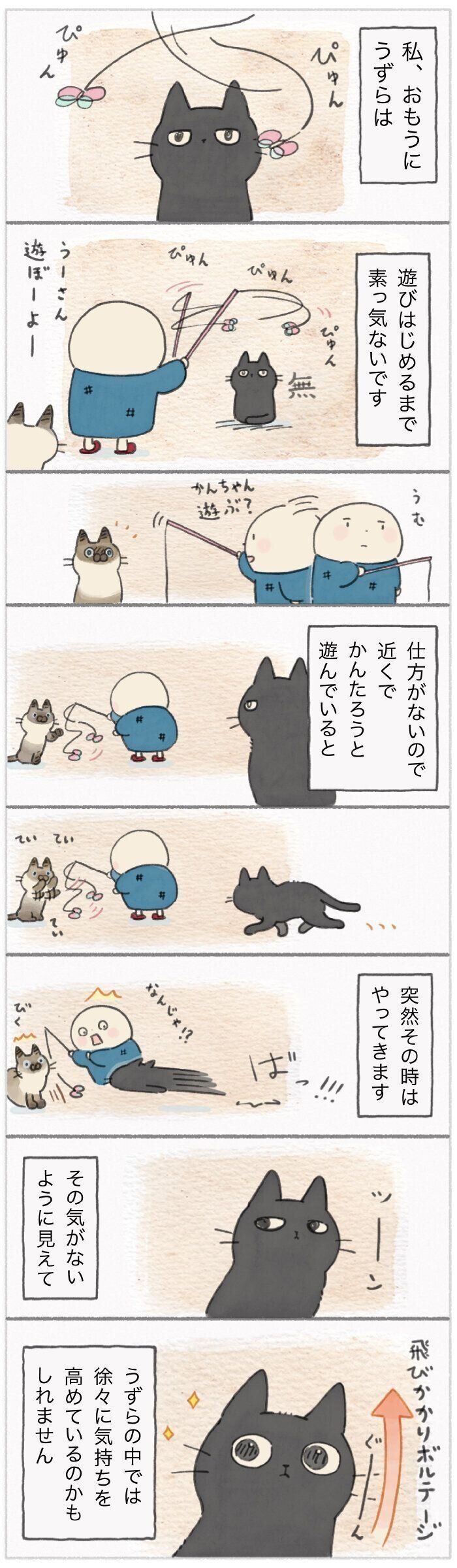「ねこ連れ草」219話め