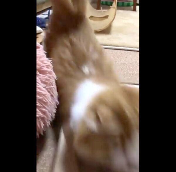 紙袋を破壊するちのさん