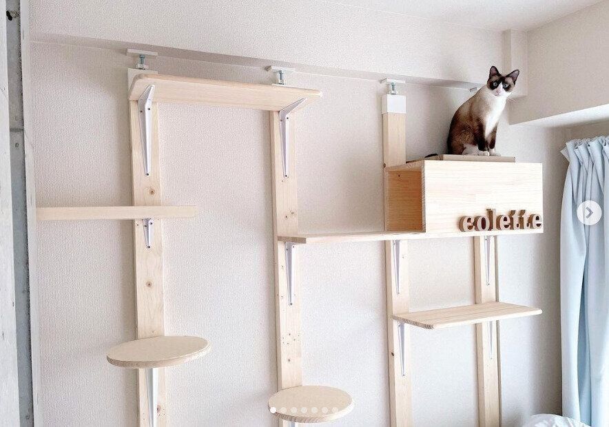 壁に穴を開けない猫タワー1
