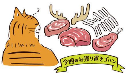 「ねこのきもち」2017年12月号