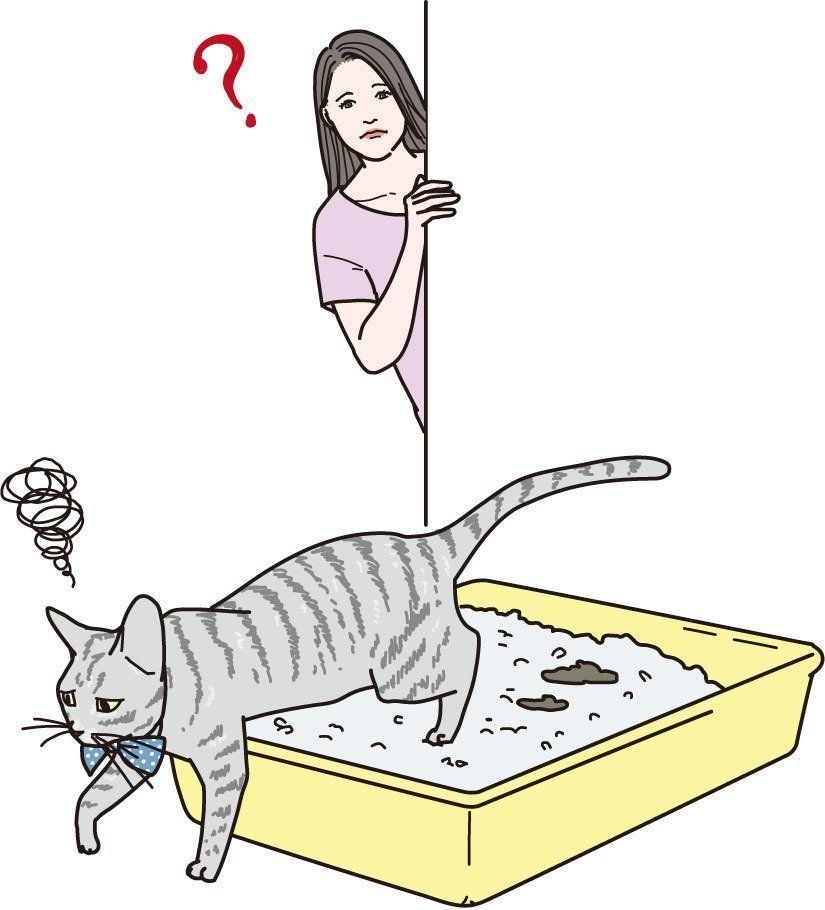 イラスト／二階堂ちはる