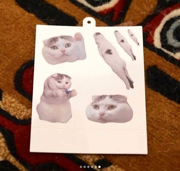 ライくん×「niko and ...」のコラボ商品