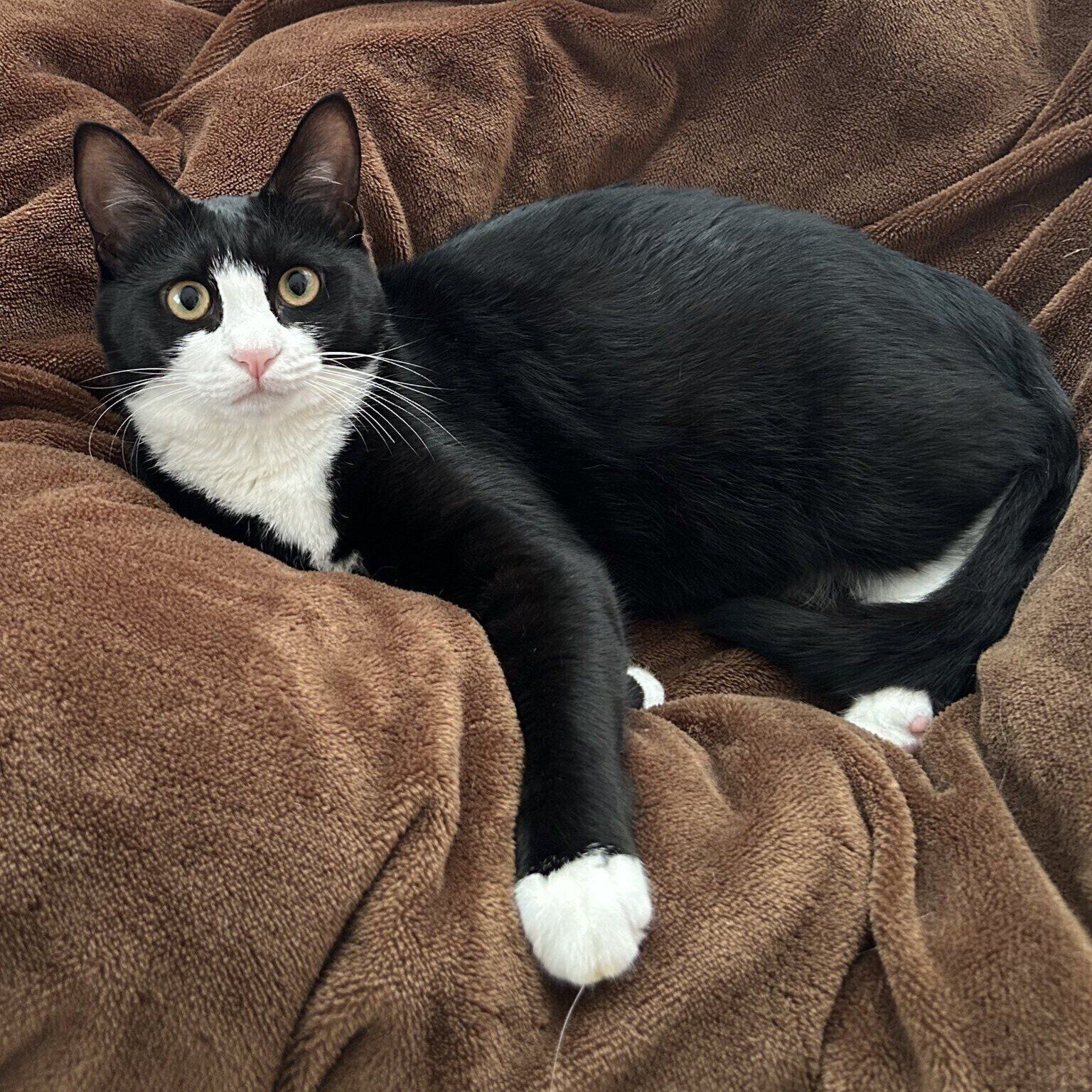 生後10カ月を迎え、立派に成長しためいちゃん。