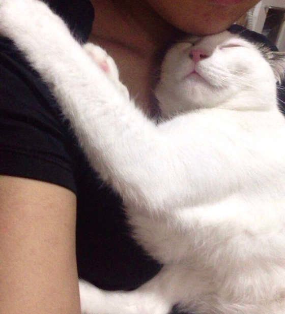 嬉しそうなはなちゃん