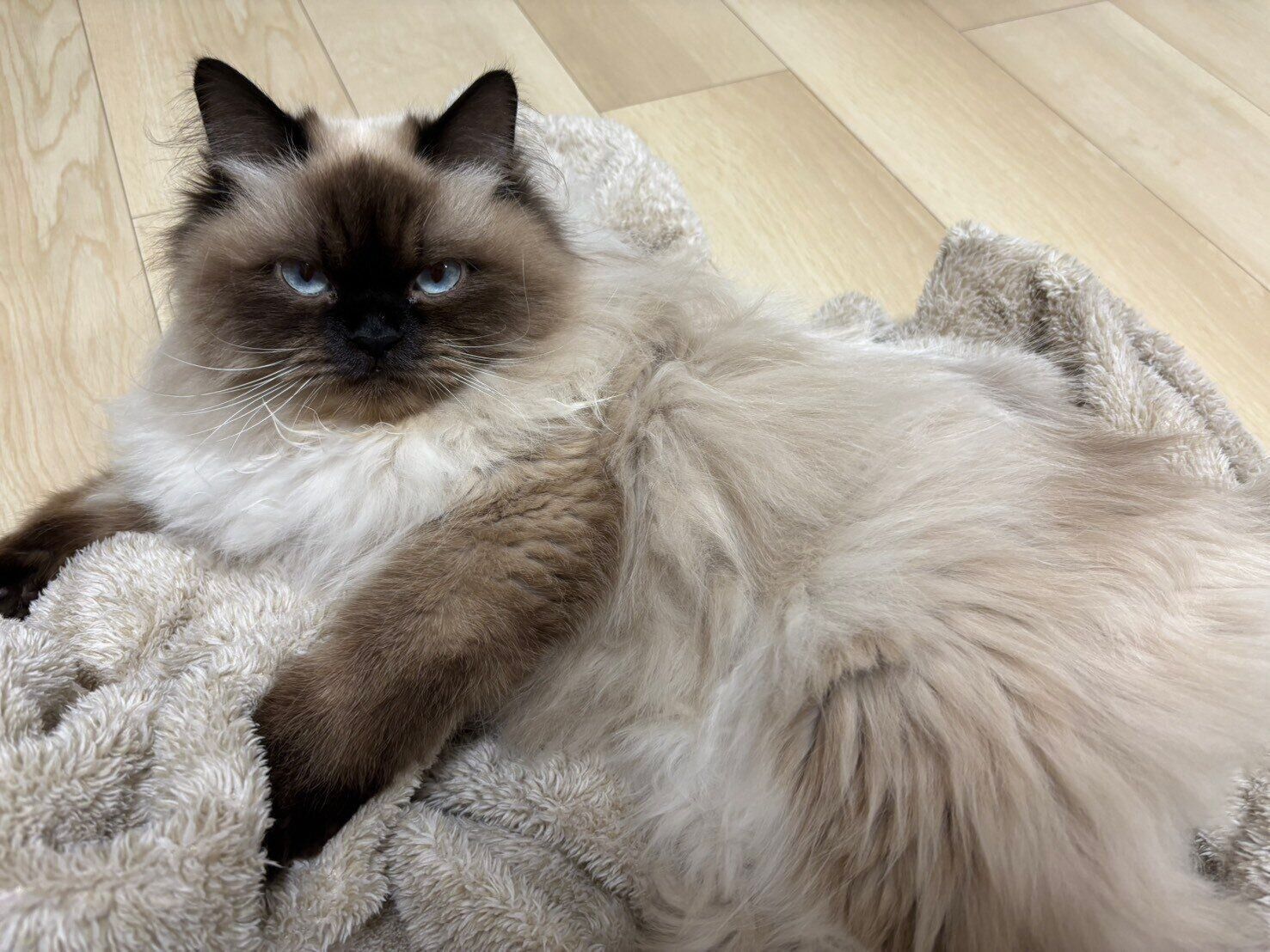 生後10カ月になった福くん