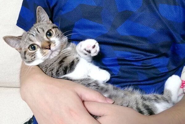 抱っこされるもかちゃん