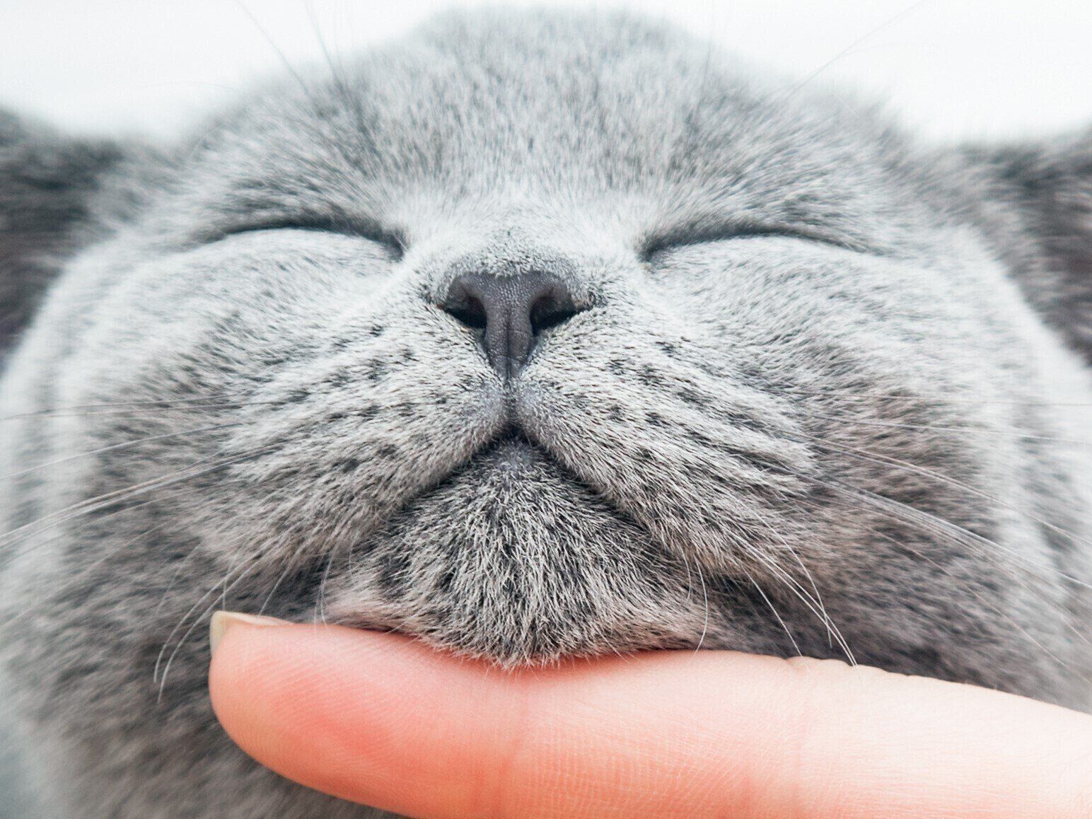 画像／iStock、Getty Images Plus