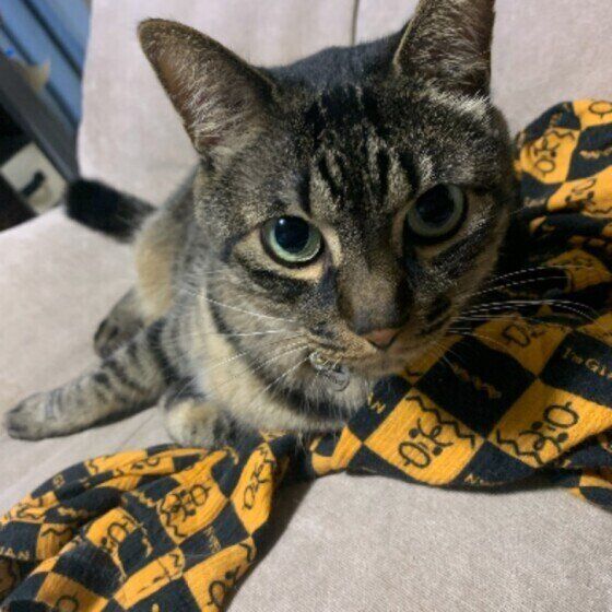 ちょっぴり神経質なリクくん