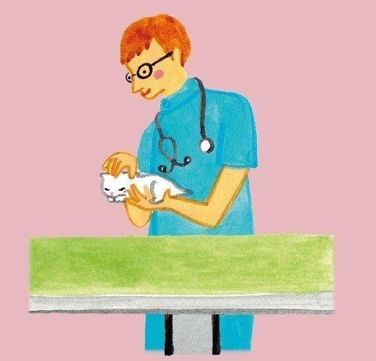 イラスト／竹脇麻衣