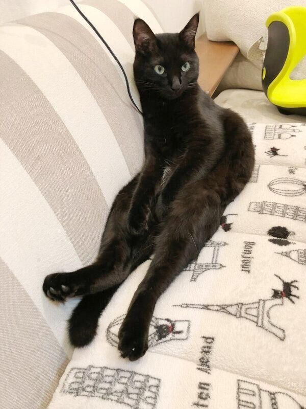 くつろぐえいきちくん