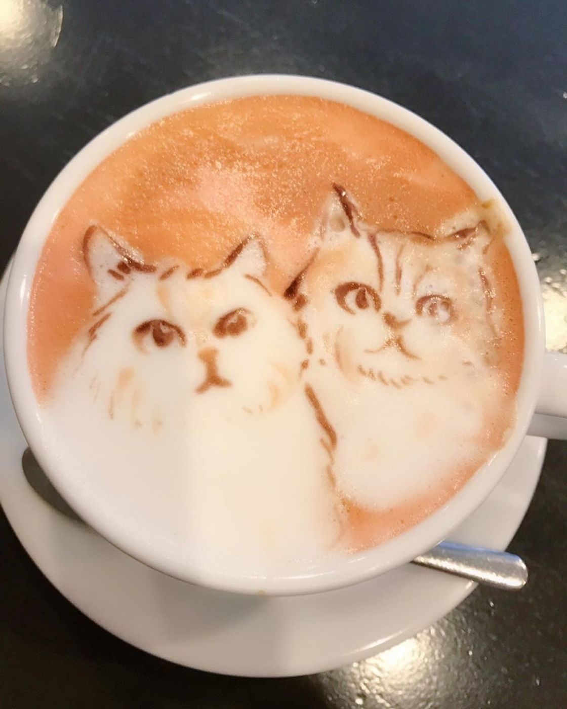 可愛くてずっと見ていたい 猫柄ラテやメニューが楽しめるカフェ ねこのきもちweb Magazine 可愛くてずっと見ていたい 猫柄ラテやメニューが楽しめるカフェ ねこのきもちweb Magazine