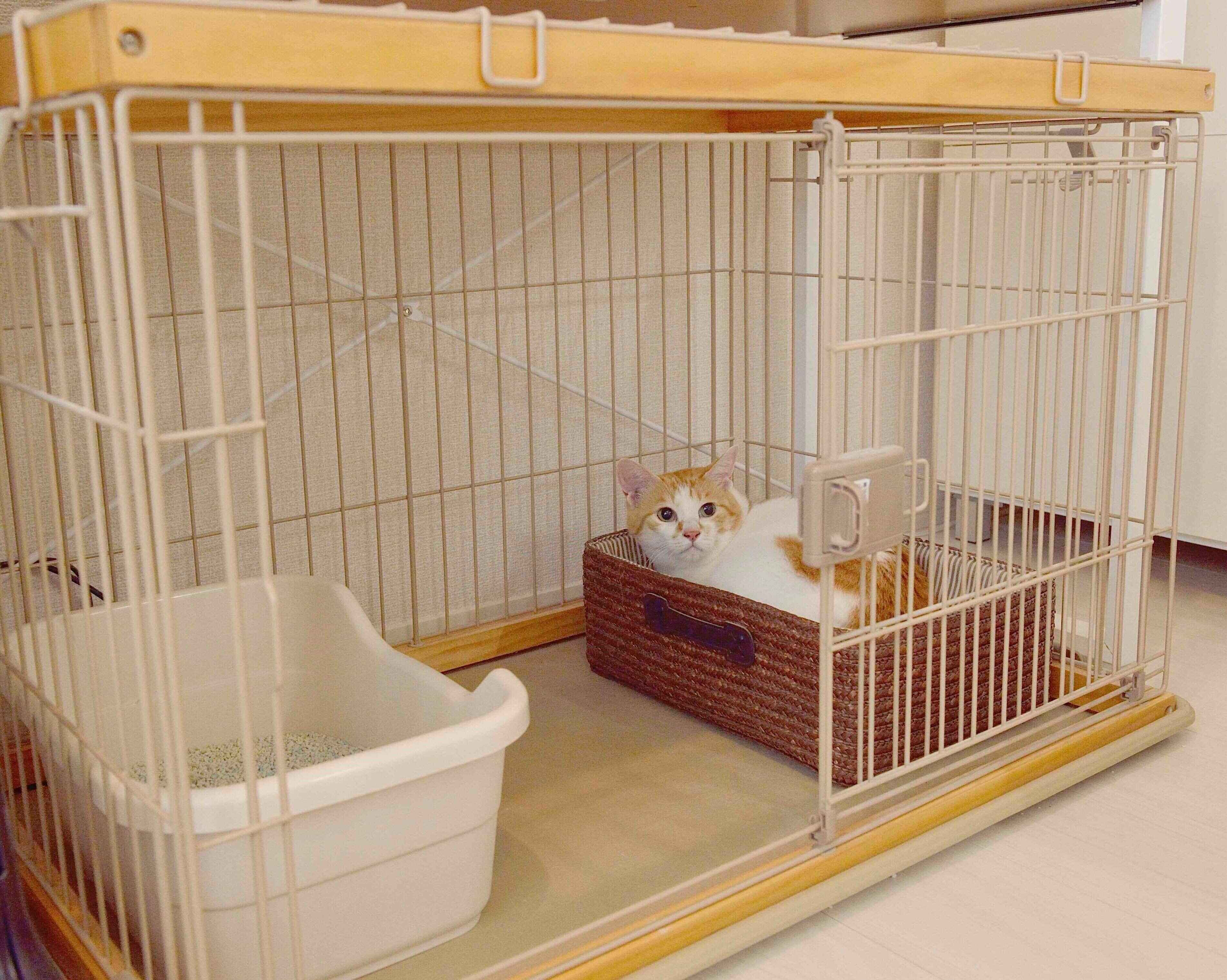 撮影／奥山美奈子