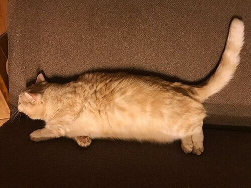 Ayaeo9gid1uiym Ayaeo9gid1uiym