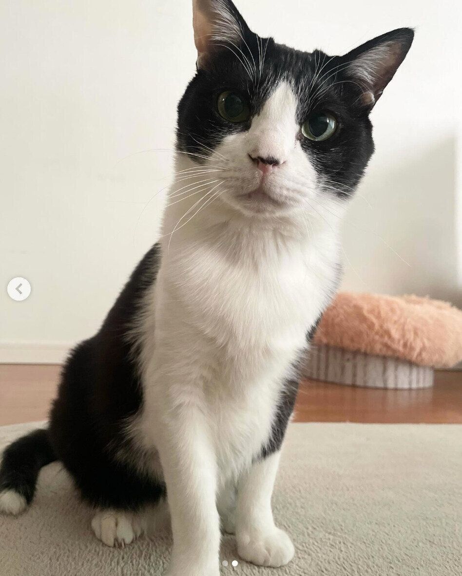 現在の虎徹くん