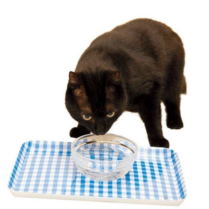 撮影／中川文作