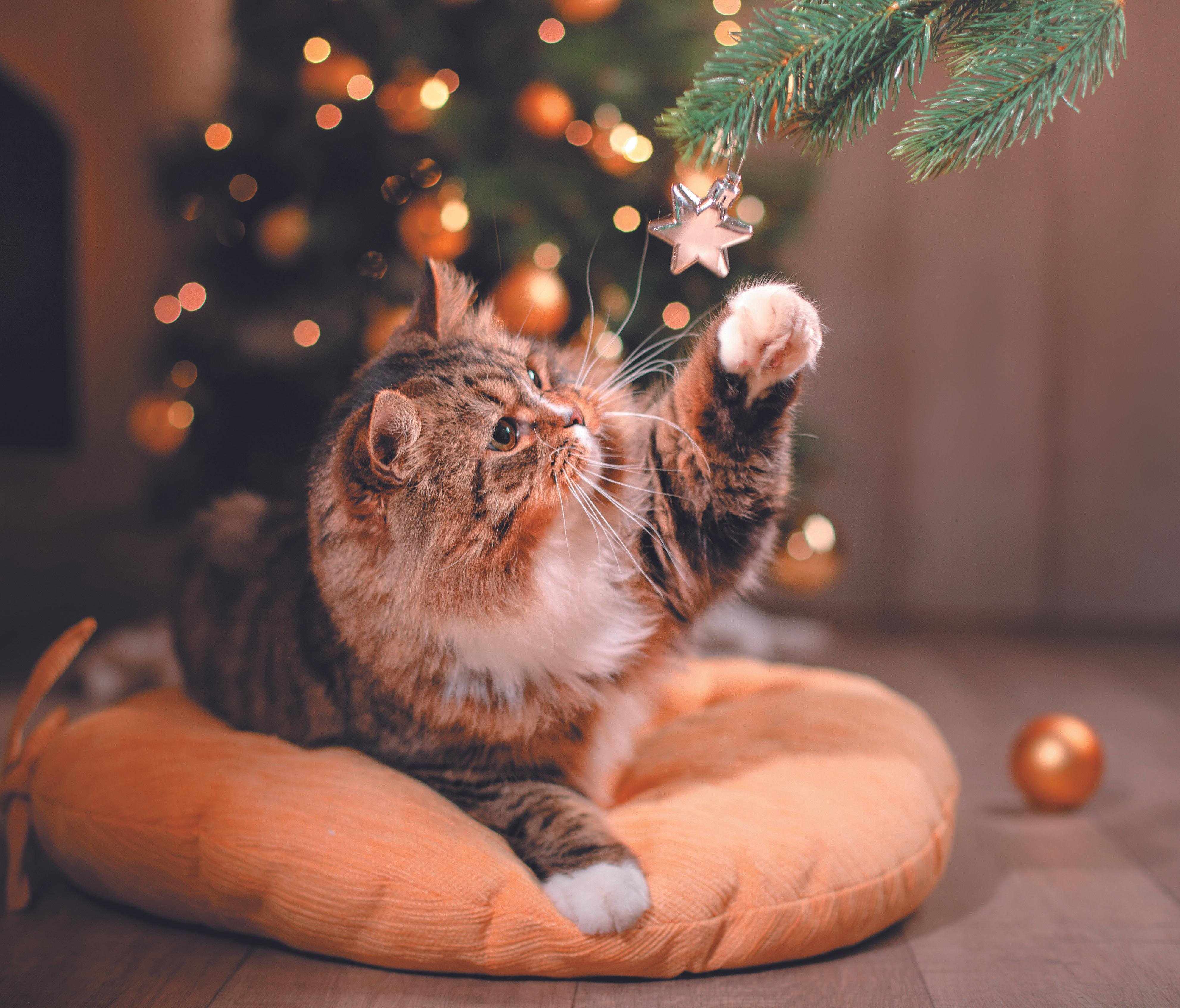 写真／Akimasa Harada