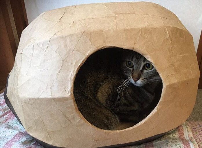 楕円形段ボールハウスと猫