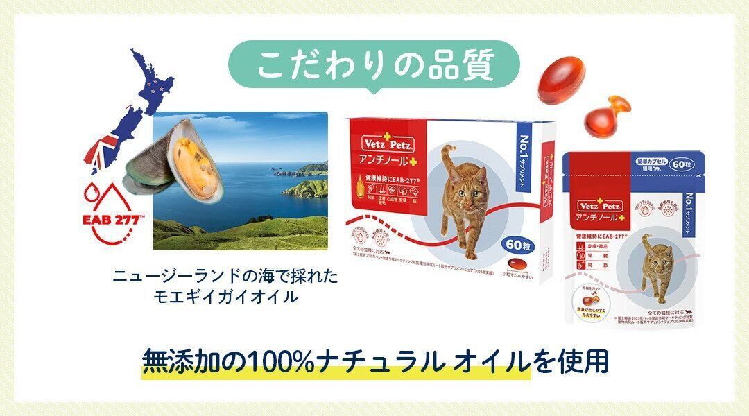 こだわりの品質