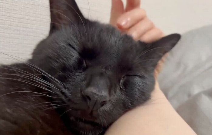 熟睡するあおくん