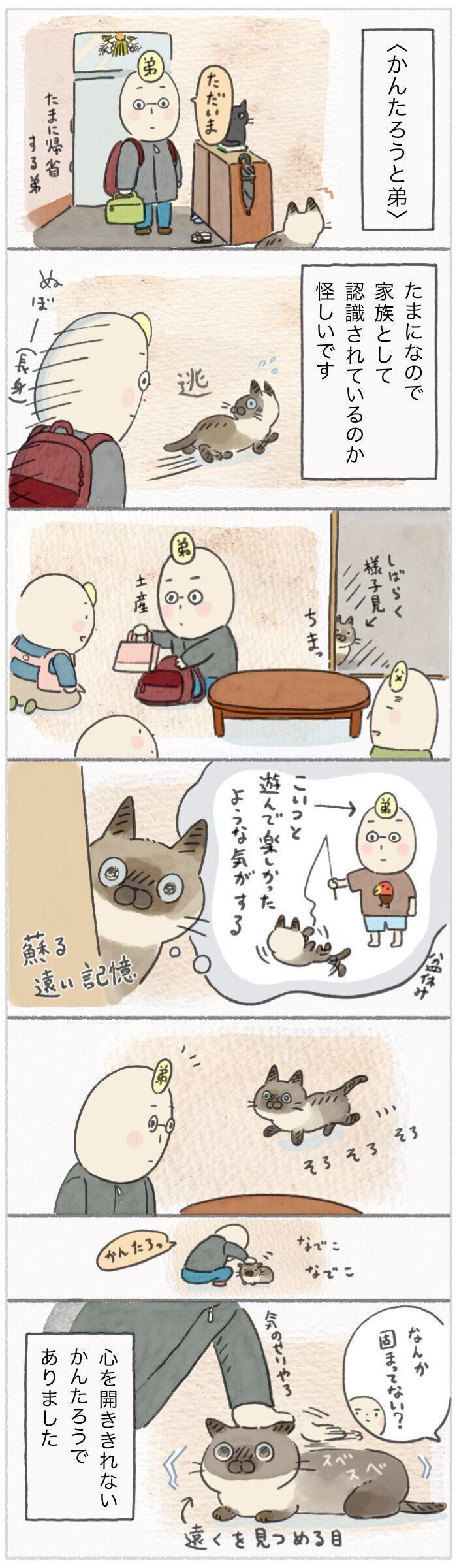 「ねこ連れ草」259話め