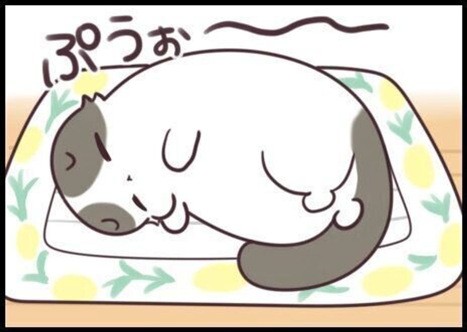 猫の寝癖の個性がスゴイ ヒゲくちゃタイプ うるツヤタイプ 連載 もふもふスコたん 225 ねこのきもちweb Magazine 猫の寝癖の個性がスゴイ ヒゲくちゃタイプ うるツヤタイプ 連載 もふもふスコたん 225 ねこのきもちweb Magazine