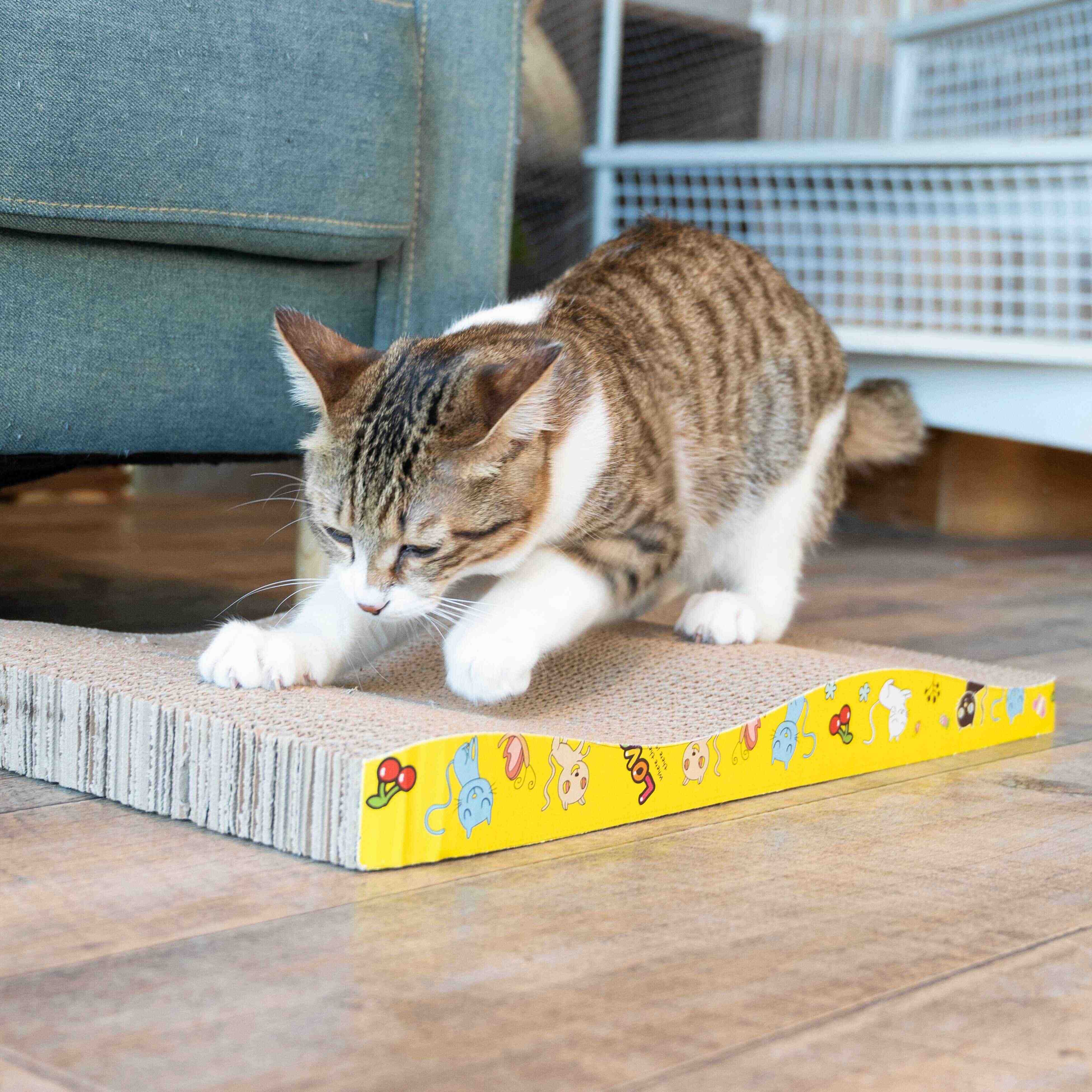 撮影／中川文作