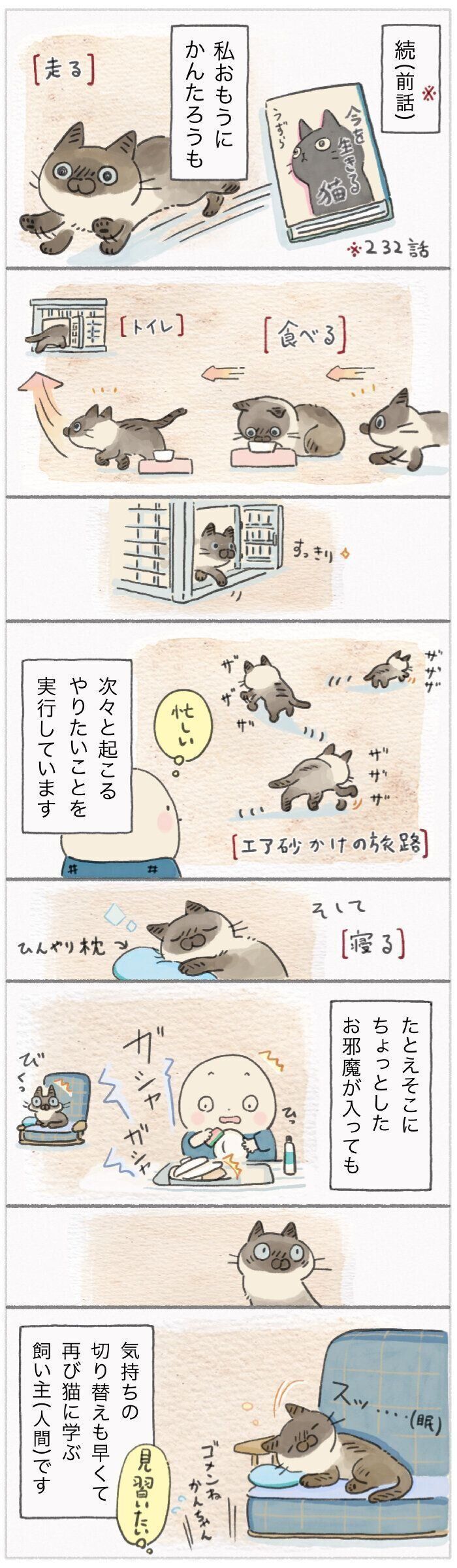「ねこ連れ草」233話め