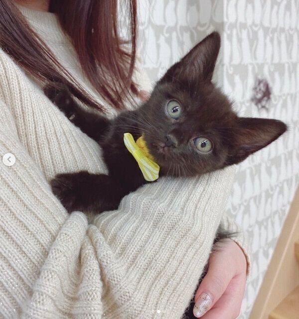 出会った頃の空ちゃん