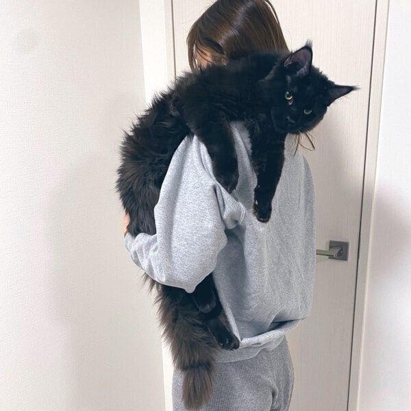 とても大きく成長したシヴァくん