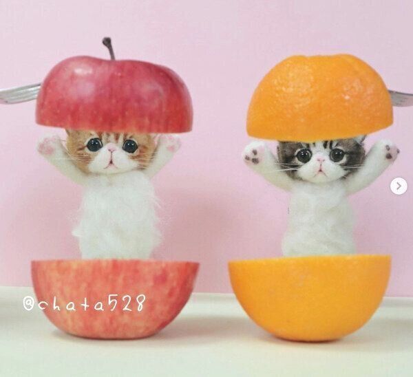 cha-taさんの羊毛フェルト作品